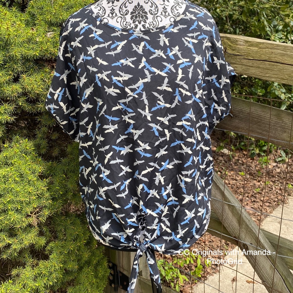 Birds